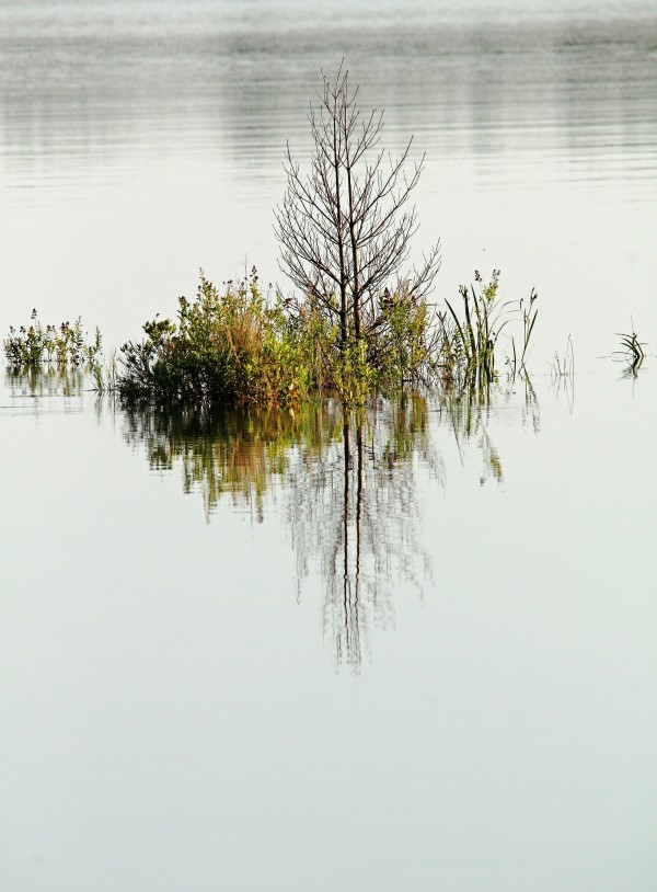 Simple Pleasure by Deb Oppermann